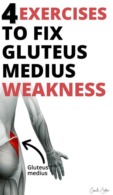 4 Weak Gluteus Medius Activation Exercises Medius Workout Hip