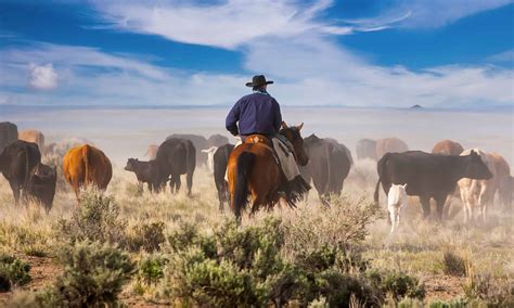 The 12 Largest Ranches In Texas