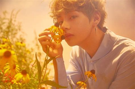 Bts' love yourself series bears the message that loving oneself is the beginning of true love. v love yourself bts photoshoot | Taehyung, Kim taehyung ...