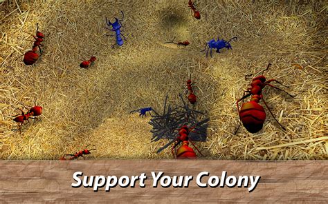 Ant Survival Simulator Live In The Ant Colony Uk Apps