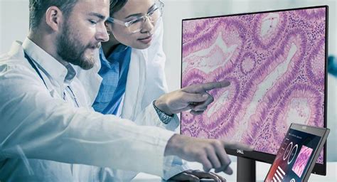 Digital Pathology Solutions From The Slide To The Data Center To The