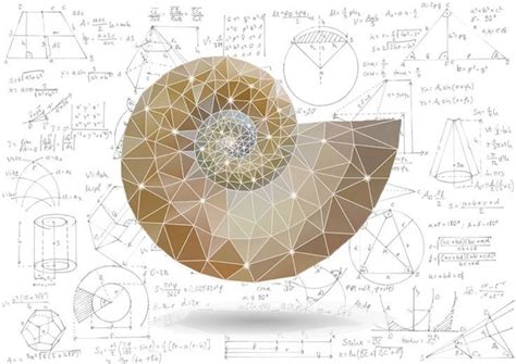 Mathematical Masterpieces Making Art From Equations Math Art