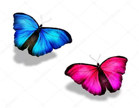 Pink And Blue Butterfly Isolated On White — Stock Photo © Suntiger