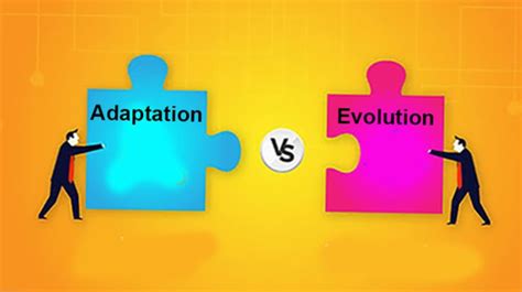 Differbetween Difference Between Adaptation And Evolution