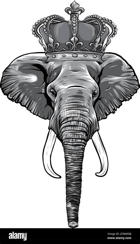 Elefante De Dibujos Animados Imágenes De Stock En Blanco Y Negro Alamy