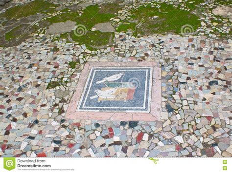 This dissertation is a study of the impact of hellenistic palatial architecture and décor on the design of private houses and their social culture at pompeii in the second century b.c.e. Die Tauben Im Haus Des Fauns Redaktionelles Foto - Bild ...