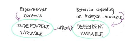 For example, if there is a question like, you want to test a new medicine that supposedly prevents. Independent vs Dependent Variables - Difference
