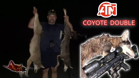South Carolina Coyote Hunting Black Coyote Youtube