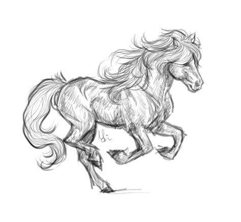 Untitled | Equine art paintings, Horse drawings, Animation art sketches