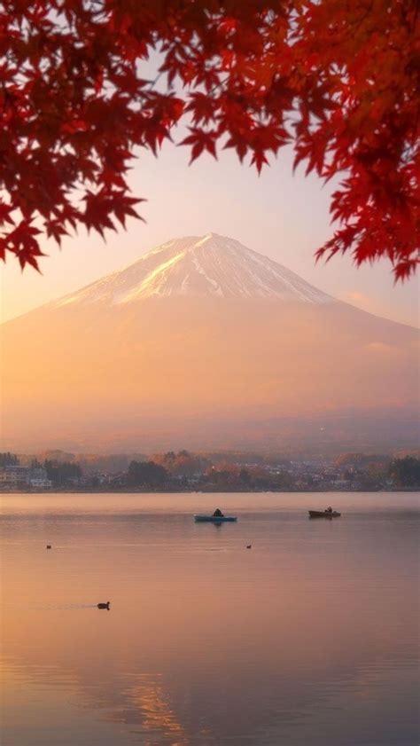 Red Mapple Leaves And Mount Fuji Wallpaper Backiee