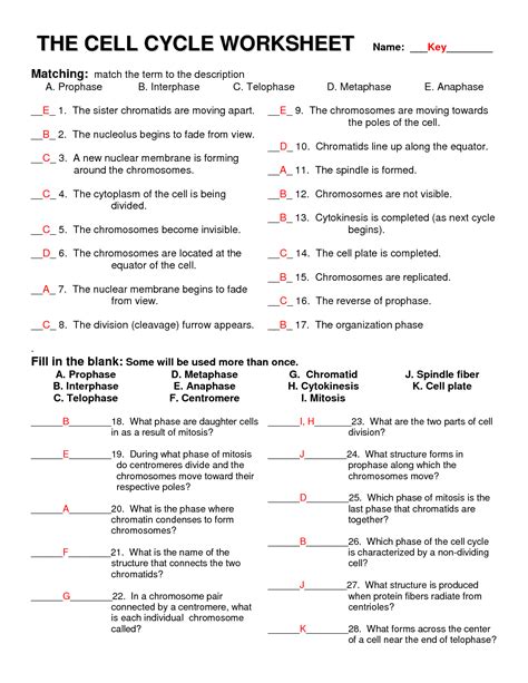 13 Life Science Worksheet Answer