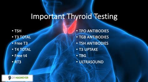 Thyroid Disease Treatment Thyroid Consultant Dr Hagmeyer