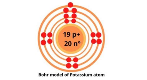 Potassium Bohr Model Diagram Steps To Draw Techiescientist