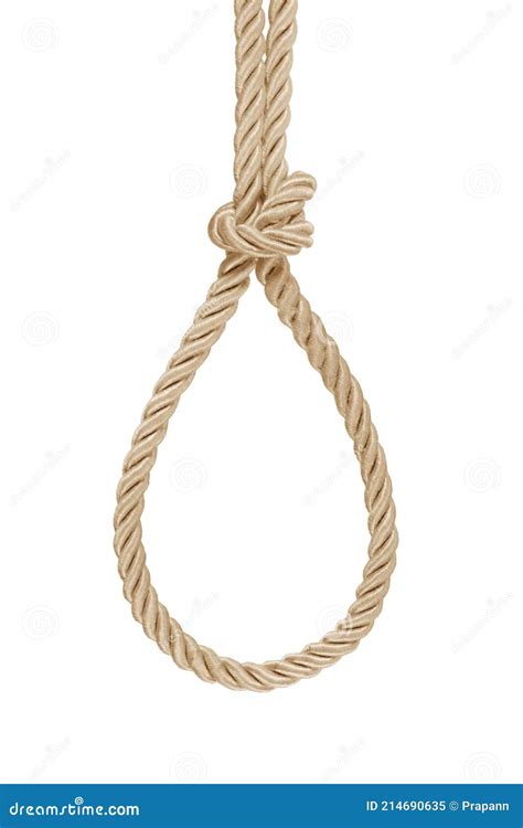 Hanging Rope Knot Tied Isolated On White Stock Image Image Of