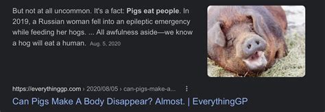 Fun Fact Wild Pigs Eat Humans Fandom