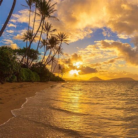🌴🏡🌴 Mahalo Tburt50 Beautiful Photography In Oahu Hawaii 🤙🏼🌺🌴 💛