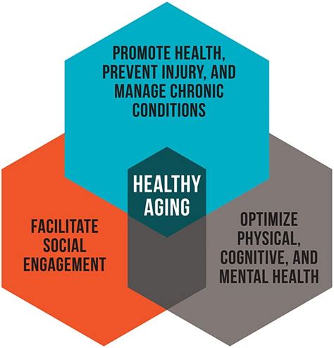 Figure 1 Guiding Model For Healthy Aging Healthy Aging In Action