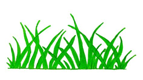 How To Draw Grass Step By Step Grass Drawing Very Easy Youtube