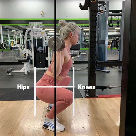 Muscles Used In The Squat Complete Guide Powerliftingtechnique