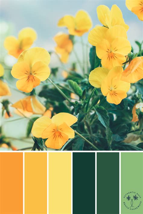 Yellow Flowers Color Palette Color Color Palette Yellow Color
