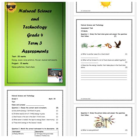 Natural Science And Technology Grade 4 Term 3 Assessments Teacha
