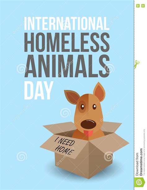 To kick things off, here's a special offer: International Homeless Animals Day. Cute Dog In A Box ...