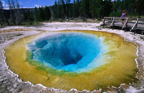 Morning Glory Pool In The Norris Geyser Basin Yellowstone National
