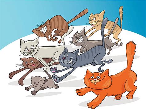 170 Cartoon Of The Alley Cats Stock Illustrations Royalty Free Vector