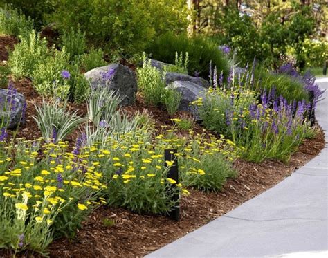 Water Saving Tips For Water Wise Landscapes Lifescape Colorado