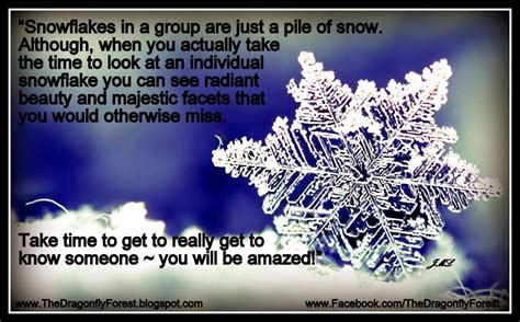 The Dragonfly Forest People Are Like Snowflakes Snowflake Quote