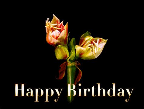 Happy birthday to you gold glitter lettering for greeting card. Beautiful Flowers Happy Birthday Gif Wishes to Share