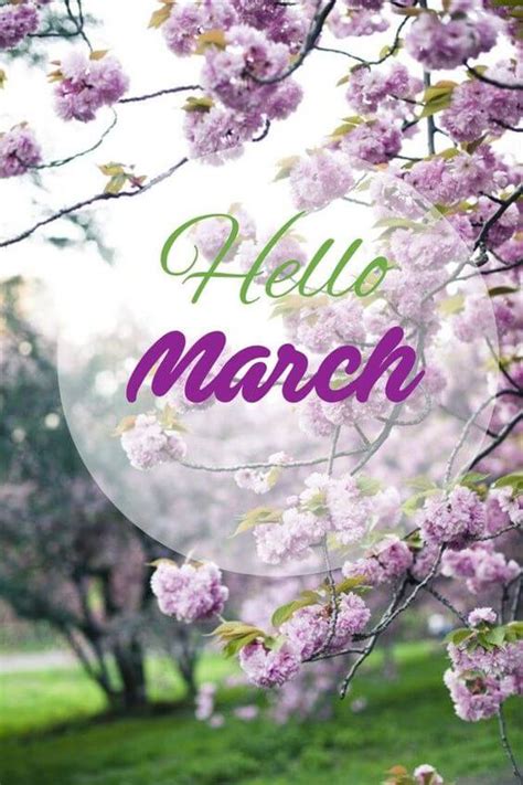 Hello March Images Pictures Quotes And Pics 2020