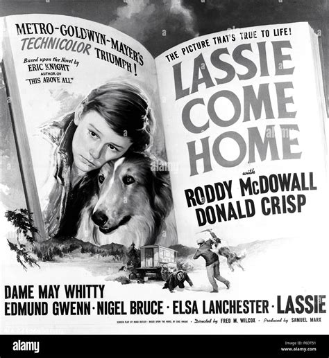 released dec 07 1943 original film title lassie come home pictured composite art for the