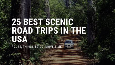 25 Best Scenic Road Trips In The Usa Route Things To Do Drive Time