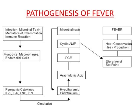 Fever Of Unknown Origin Pediatrics