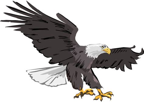 Eagle Clipart Transparent Background Clip Art Library