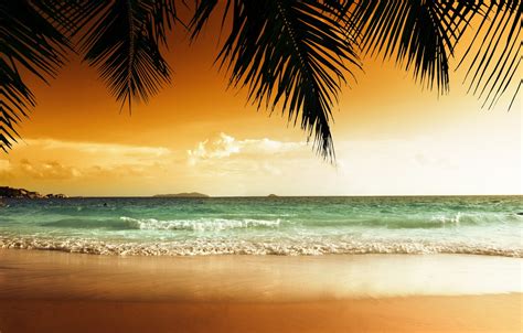🔥 12 Tropical Beach Paradise Sunset Wallpapers Wallpapersafari