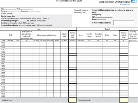 Printable Medical Chart Audit Tool Template
