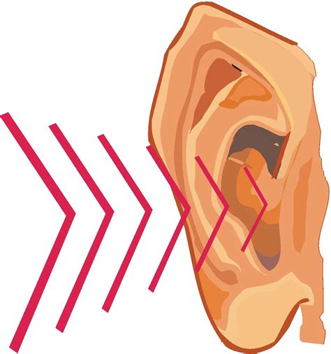 Hearing Clipart Noise Hearing Noise Transparent Free For Download On