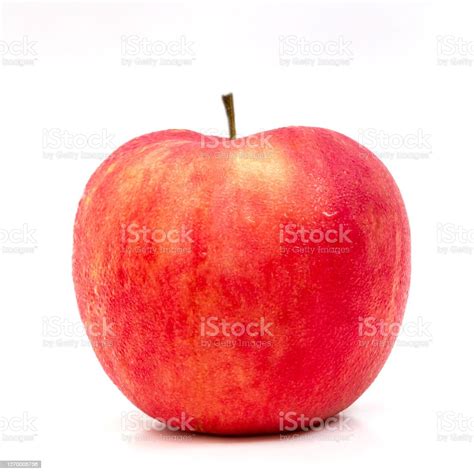One Red Apple Isolated On White Background Stock Photo Download Image