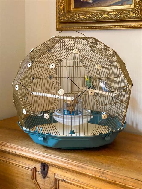 Geo Bird Cage The Parakeets Get A New Home Tilly S Nest