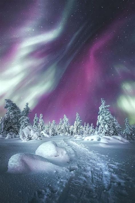 Aurora Boreal Natureza Bela Aurora Boreal Fotografia De Inverno
