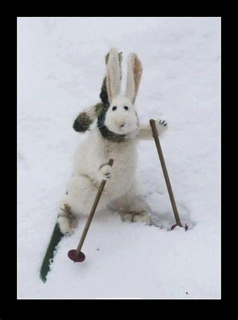 Easter Rabbit In Snow Easter Pinterest