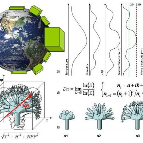 The Latitudinal Gradient Of Biodiversity Can Be Explained As