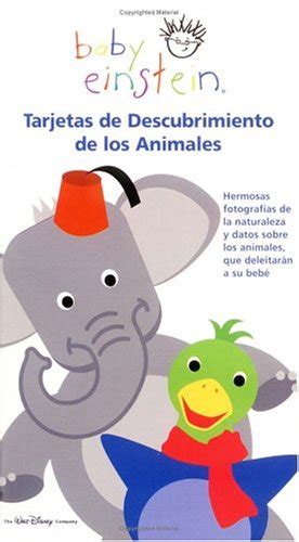 Tarjetas De Descubrimiento De Los Animales Animal Discovery Cards