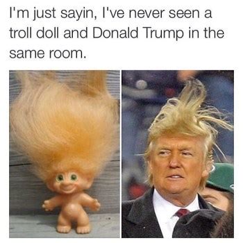 The tv informercial star and newly declared donald trump. My All Time 9 Favorite Donald Trump Hair Memes — Steemit