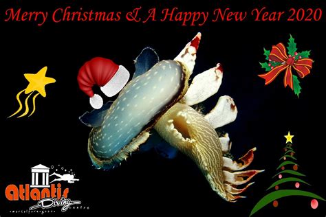 Merry Christmas And A Happy New Year 2020 Atlantis Gozo