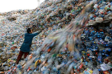 Global Plastic Bottle Pollution Is Shocking Palletmach