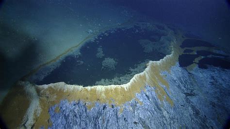 Spectacular Underwater Brine Lake Nautilus Live
