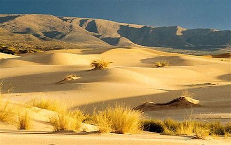 The Kalahari Desert Covers Much Of Botswana And Parts Of Namibia And South Africa The Main